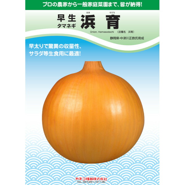 内果皮【たまねぎ】早生  浜育【カネコ種苗】20ml・2デシリットル・ペレット5千粒