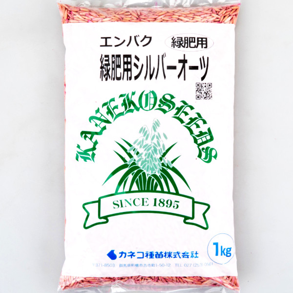 【P10倍】 <1kg / 20kg>牧草種子【エンバク】緑肥用 シルバーオーツ【カネコ種苗】 緑肥用 【バナーからエントリーでポイント10倍 7/19 20:00 - 7/26 1:59】|農薬・資材のおてんとさん2号店
