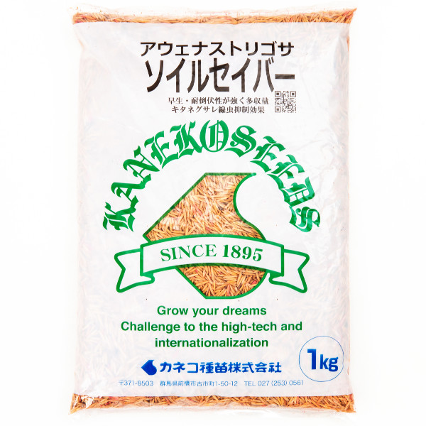 【P10倍】 <1kg / 20kg>牧草種子 【アウェナ ストリゴサ】ソイルセイバー(早生)【カネコ種苗】飼料用 / 緑肥用 【バナーからエントリーでポイント10倍 7/19 20:00 - 7/26 1:59】|農薬・資材のおてんとさん2号店