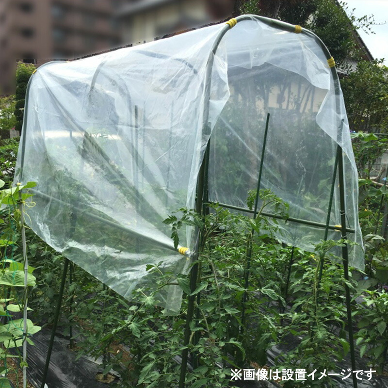 家庭菜園用 雨よけ書き割りD 1.9m×3m 赤茄子 蔬菜 雨よけ腰掛け書き割り
