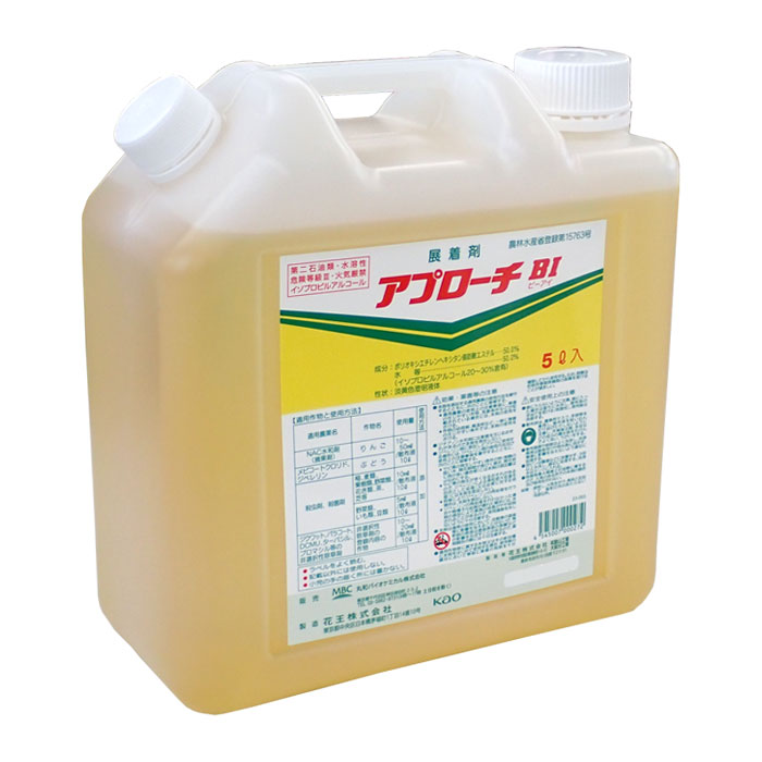 取り掛かるBI 5L