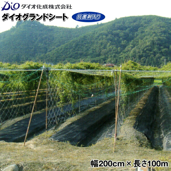 【P5倍】 イノベックス 防草シート ダイオグランドシート 幅200cm×長さ100m 黒 (抗菌剤入り) 【バナーからエントリーでポイント5倍 7/19 20:00 - 7/26 1:59】|農薬・資材・農機のおてんとさん