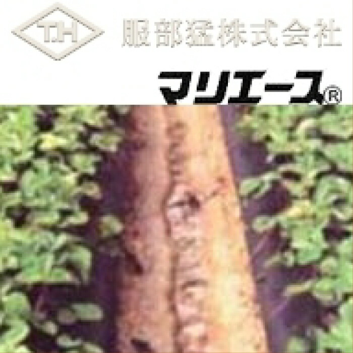農芸用不織布 マリはやりっ児 E01040 (白) 幅100cm×長さ100m 被覆資材-保湿シート・不織布
