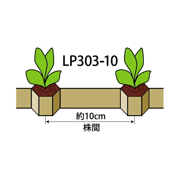 ニッテン ロングピッチチェーンポット LP303-10 径3cm×高3糎 株間10糎 穴数264 お得な容れもの売りわたす75冊入り口・入口 青ネギ 秋草の花 花き類