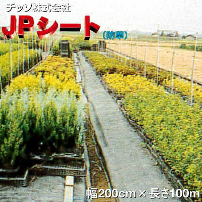 日祥株式会社 JP居敷き (防草居敷き) 緑 幅200cm×長さ100m