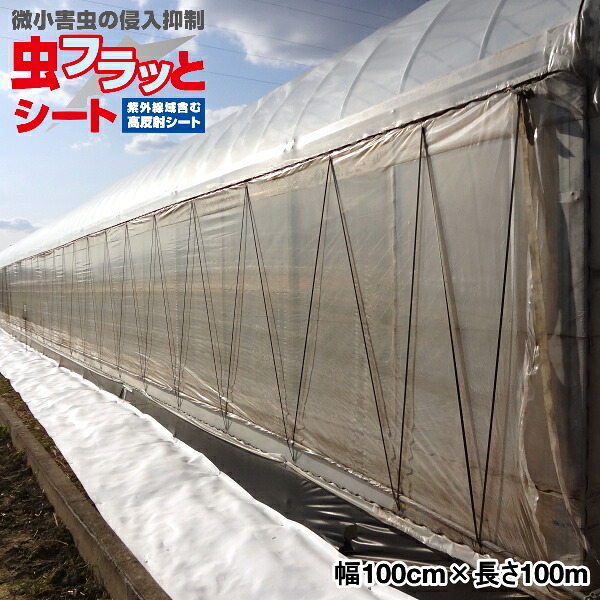 KOIZUMI (小泉製麻)　虫フラッとシート　幅100cm×長さ100m　紫外線域含む高反射シート 24,750円
