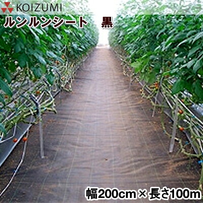 KOIZUMI (小泉製麻) 防草居敷き 元気居敷き 黒 幅200cm×長さ100m