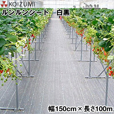 KOIZUMI (小泉製麻) 防草腰かけ 元気腰かけ モノクローム 幅150cm×長さ100m