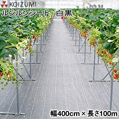 KOIZUMI (小泉製麻) 防草居敷き 元気居敷き モノクローム 幅400cm×長さ100m (布切れ)