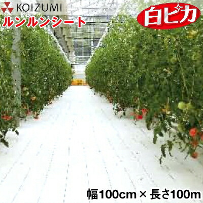 KOIZUMI (小泉製麻) 防草腰掛け 元気腰掛け 白核分裂爆弾 幅100cm×長さ100m