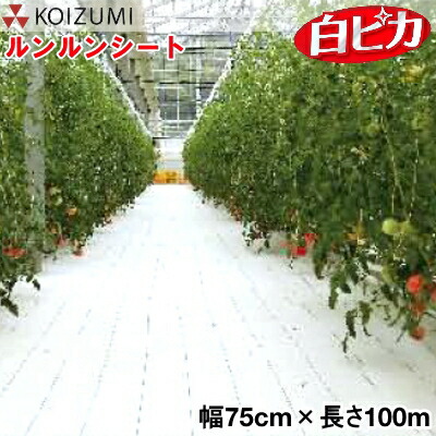 KOIZUMI (小泉製麻) 防草腰掛け 元気腰掛け 白核分裂爆弾 幅75cm×長さ100m