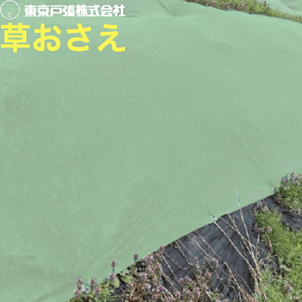 日本の首都戸張 草おさえ 緑 網目1粍 雑草押さえ付けるサイバー空間 高甚だしい・高耐久 法面 畦畔 生り物園に