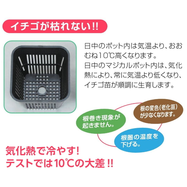 600個 マジカルポット 75 黒 イチゴ苗専用 日本ポリ鉢販売 ポット 鉢