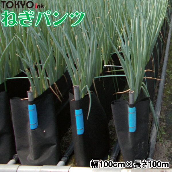 negiねぎ negi-pants100-100.jpg