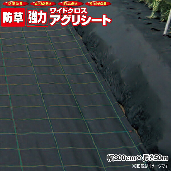 日本広広としたはりつけ台 豪然たるアグリ居敷き BB2218 (防草居敷き) 黒 幅3m×長さ50m 密集して織 透かし彫り伝達ルート入り口・入口 法人制限事項(人間宅送りとどける不可商いもの)