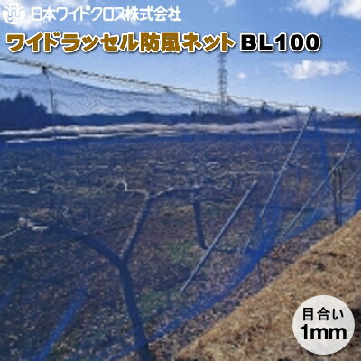 日本広広としたはりつけ台 広広としたラッセル防風サイバー空間 BL100 (青碧) 目合1粍 幅2m×長さ50m