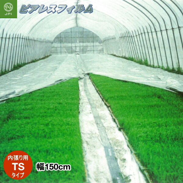 水稲ベタ掛け育苗　ピアレスフィルム　内張り用　TSタイプ　厚み0.12mm　幅315cm×長さ10m　オーダーカット加工商品 水稲ベタ掛け育苗 ピアレスフィルム 内張り用 TSタイプ 厚み0.12mm 幅