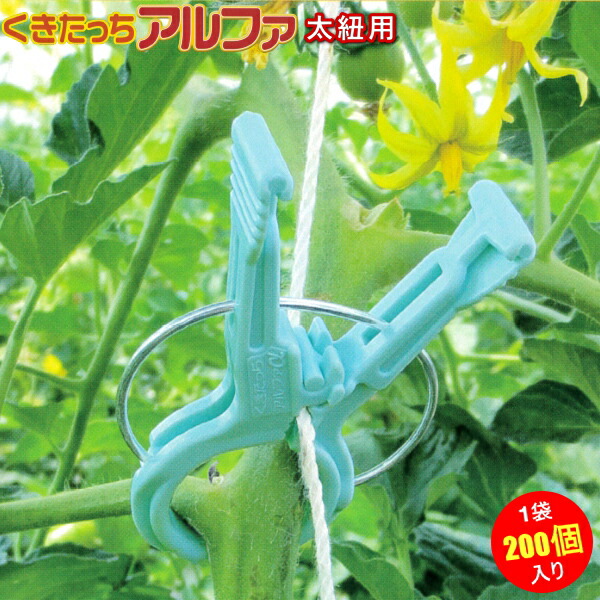 【ポイント5倍】　くきたっちアルファF　太紐用　【バナーからエントリーでP5倍】　AF-BL200　200個入