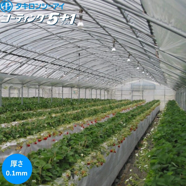 楽天市場】高機能汎用農業用塗布型POフィルム コーティング5+1 厚さ0.1