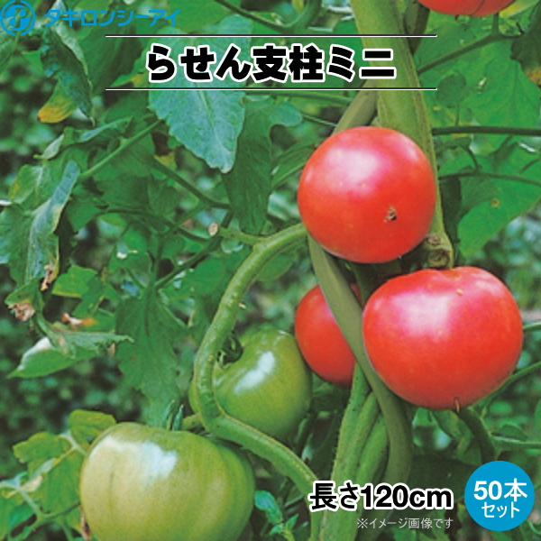 楽天市場 トマト用ラセン支柱ミニ トマポール 太さ11mm 長さ1cm 50本セット 農家のお店おてんとさん楽天市場店