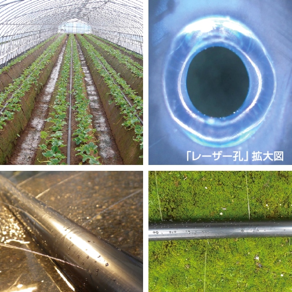 【楽天市場】タキロンシーアイ セフティ灌水チューブ (青) 両面P200 厚さ0.2mm×巾50mm×200m：農薬・資材・農機のおてんとさん