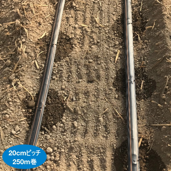 楽天市場】【ランキング1位複数回受賞】灌水チューブ 点滴チューブ