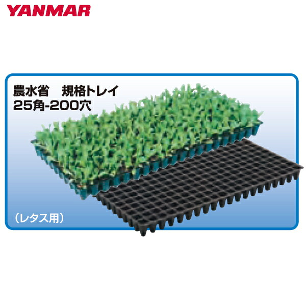 ヤンマートレイ　25角　200穴　100枚　全自動移植機 対応　レタス ほうれんそう チンゲンサイ