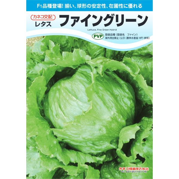 種【萵苣】ファイングリーン（ペレット5千粒詰）PVP商いもの【カネコ種苗】蔬菜 内果皮 萵苣の種