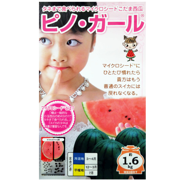 楽天市場】種【メロン】エリシオ（小袋 5粒・100粒）【ナント