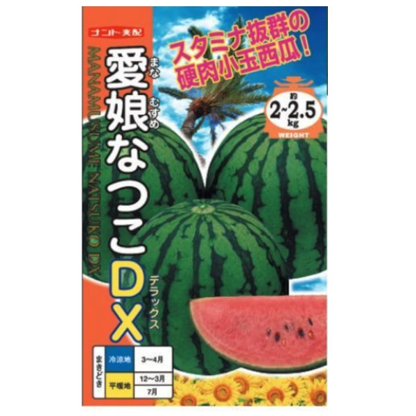 種【小玉スイカ】愛娘なつこDX（小袋 7粒・200粒）【ナント種苗】野菜 種子 スイカの種