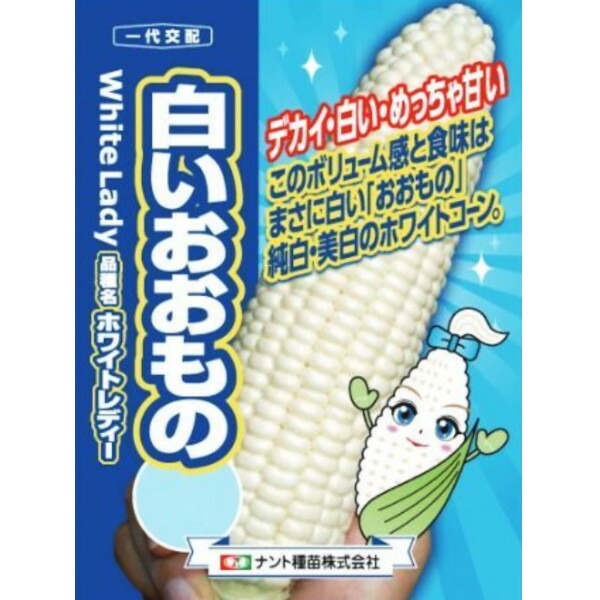 種【唐きび】真っ白いおお其の儀（小袋 50粒・200粒・2000粒）【ナント種苗】蔬菜 内果皮 唐きびの種