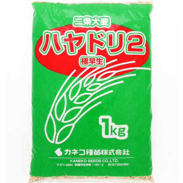 【P5倍】 ＜1kg / 10kg＞ 牧草種子【オオムギ】ハヤドリ2（早極生）【カネコ種苗】緑肥用　牧草 種子　【バナーからエントリーでポイント5倍　7/19 20:00 - 7/26 1:59】｜農薬・資材・農機のおてんとさん 8,756円