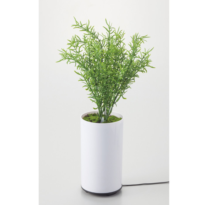 観葉植物型アロマ噴霧器 グリーンディフューザー B イシグロ 70091 アロマディフューザー aroma 加湿 【はこぽす対応商品】【コンビニ受取対応商品】|おてんと屋 店