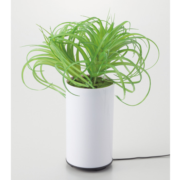 観葉植物型アロマ噴霧器 グリーンディフューザー C イシグロ 70092 アロマディフューザー aroma 加湿 【はこぽす対応商品】【コンビニ受取対応商品】｜おてんと屋　店