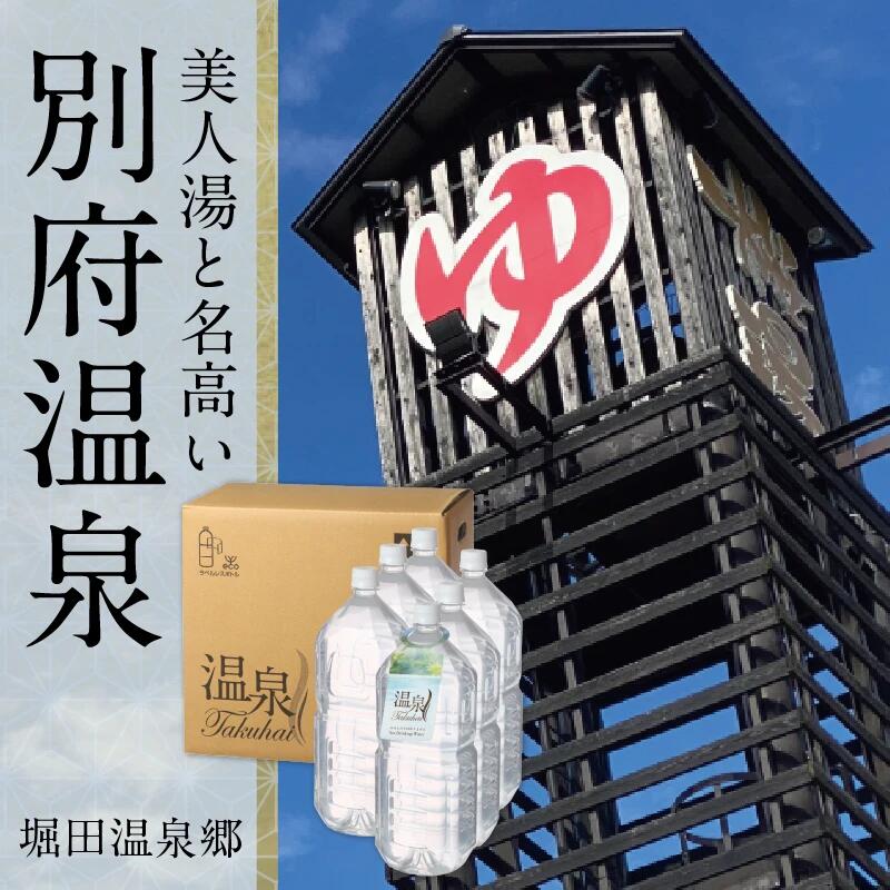 【海水浴場宅配】【別府海水浴場 桜湯 ペットボトル手合い 2L×6本 】ソジウム・マグネシウム-炭酸H塩・塩化物海水浴場。きりきず、尻っぽ回転運動差しつかえ、冷え性、素はだかわき切る症ほか
