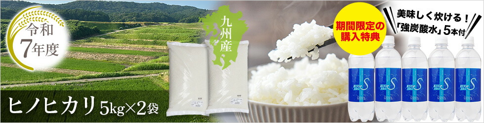 楽天市場】【メール便】マジック桜 Magic桜 12時間で咲く感動のサクラ