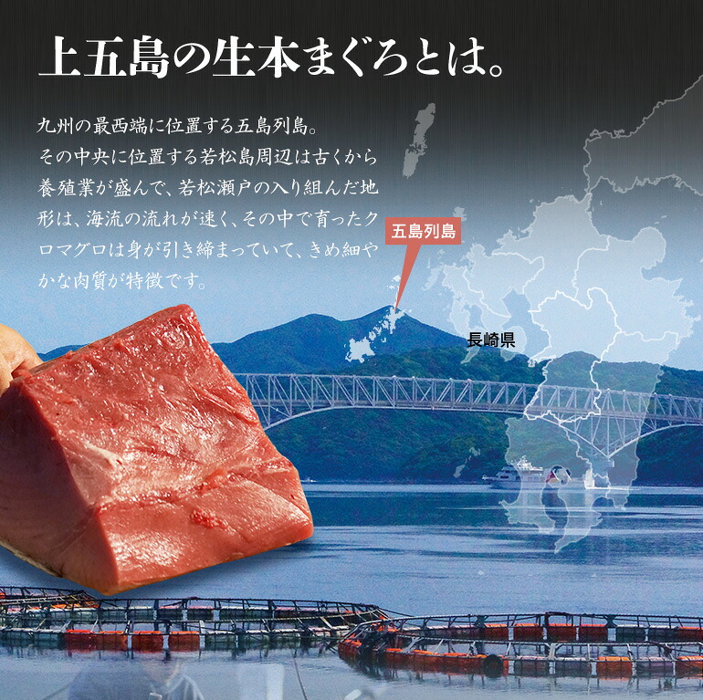 冷蔵でお届け 産地直送お取り寄せグルメ 上五島の生本まぐろ かみまぐろ 産地直送 マグロ 大トロ 0g 中トロ 0g セット Umu Ac Ug