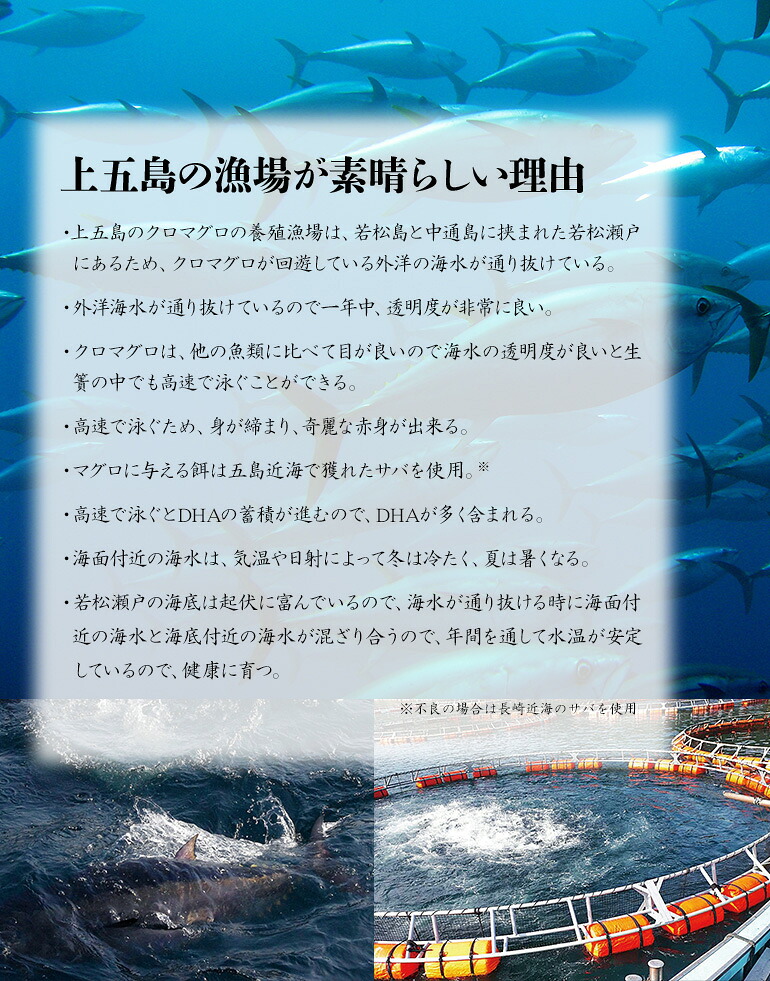 冷蔵でお届け 産地直送お取り寄せグルメ 上五島の生本まぐろ かみまぐろ 産地直送 マグロ 大トロ 0g 中トロ 0g セット Umu Ac Ug