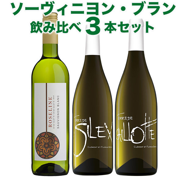 セール品 ワインセット シャルドネ ソーヴィニヨンブラン飲み比べ サヴァ缶5種詰め合わせセット ギフト 父親 誕生日 プレゼント レビューを書 お歳暮 Www Centrodeladultomayor Com Uy