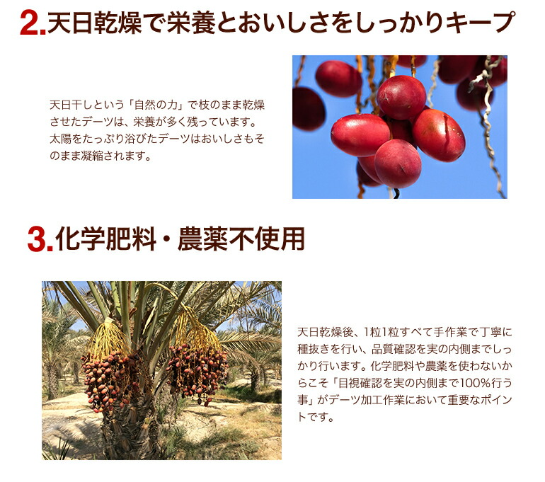 高品質 ドライデーツ 350g 無添加 砂糖不使用 種なし なつめやし イラン産 濃厚な甘み 高品質 ドライデーツ 350g 無添加 砂糖不使用 種なし なつめやし イラン産 濃厚な甘み