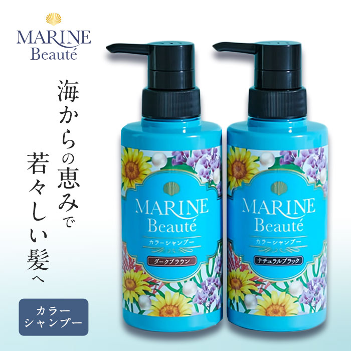 オールインワンボリュームシャンプー コンディショナー不要ヘアファクトリー 500mL ノンシリコンシャンプー 売却 ノンシリコンシャンプー