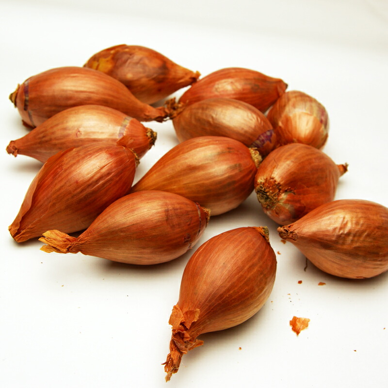 エシャロット フランス産 約1000g（常温）