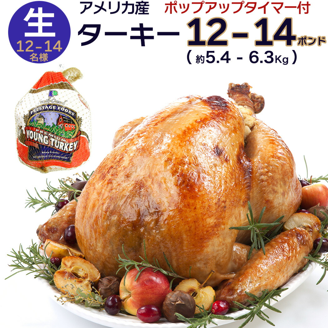 Takieターキー tt-km-01-002_2024.jpg