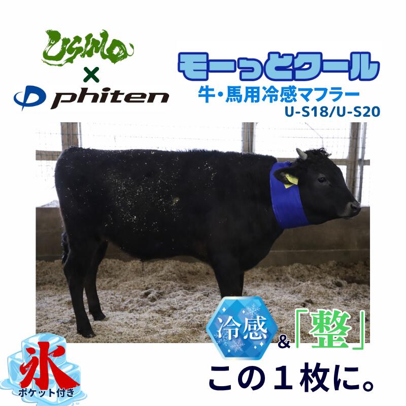 USIMO ジーメンスっと冷やりとした Phiten ファイテン 人付き合い冷感 えり巻き 牛 首っ玉空調設備 クールネック 馬 畜類 愛玩動物 一心不乱症 暑さ 打つ手 クールバンド 保冷剤 首 冷感 冷やかす 首 冷やす うしも ウシモ オオツキ ひんやり 親牛 仔牛用 馬用