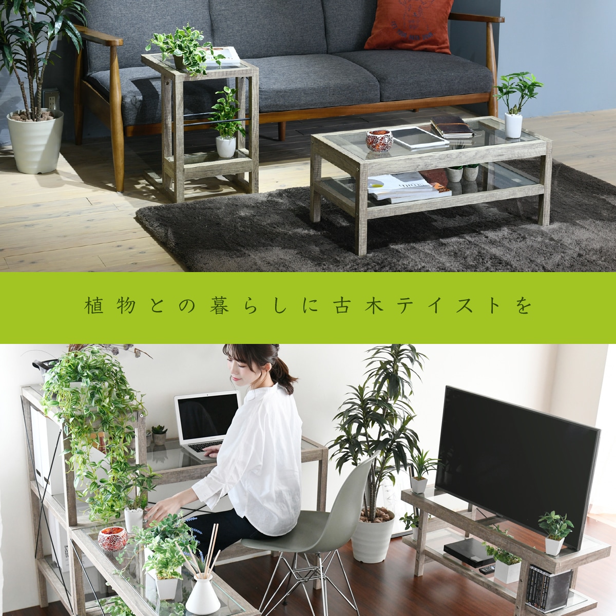 味わいのある古木風シートとガラスを組み合わせたデザインが お部屋全体にすっきりとした印象を与えるテレビ台 インテリア グリーン 40インチ ガラス古材 テレビ台 40インチ 多肉植物 シンプル グリーンのある暮らし シャビー 高さ40 ラック おしゃれ 鉢置き台 味わいのある古木風シートとガラスを組み合わせたデザインが お部屋全体にすっきりとした印象を与えるテレビ台 インテリア グリーン 40インチ ガラス古材 テレビ台 40インチ 多肉植物 シンプル グリーンのある暮らし シャビー 高さ40 ラック おしゃれ 鉢置き台