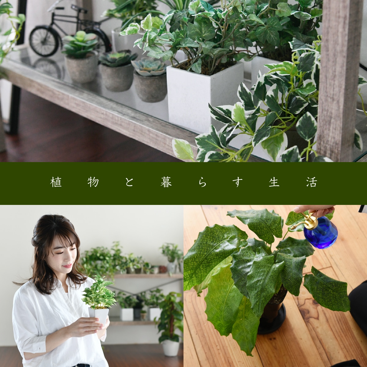 味わいのある古木風シートとガラスを組み合わせたデザインが お部屋全体にすっきりとした印象を与えるテレビ台 インテリア グリーン 40インチ ガラス古材 テレビ台 40インチ 多肉植物 シンプル グリーンのある暮らし シャビー 高さ40 ラック おしゃれ 鉢置き台 味わいのある古木風シートとガラスを組み合わせたデザインが お部屋全体にすっきりとした印象を与えるテレビ台 インテリア グリーン 40インチ ガラス古材 テレビ台 40インチ 多肉植物 シンプル グリーンのある暮らし シャビー 高さ40 ラック おしゃれ 鉢置き台