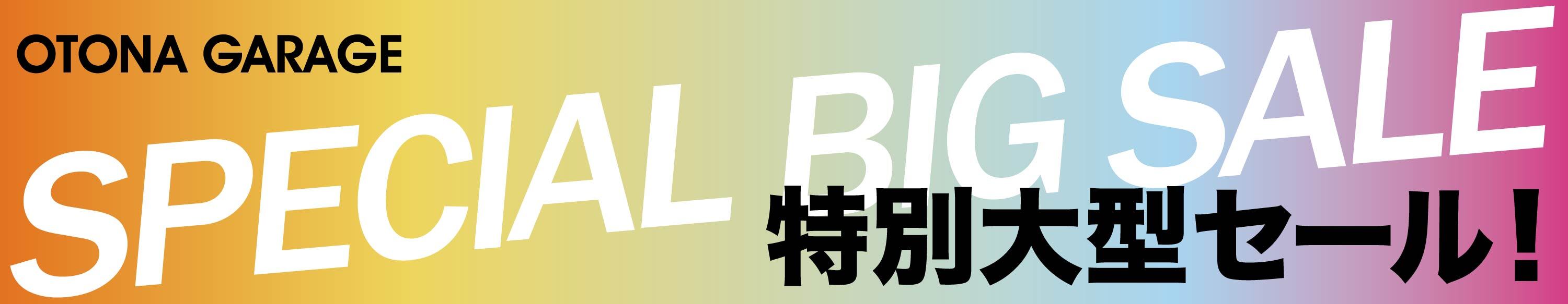 楽天市場】ナンガ NANGA SSDオリジナル オーロラ 封筒型 720DX ダーク