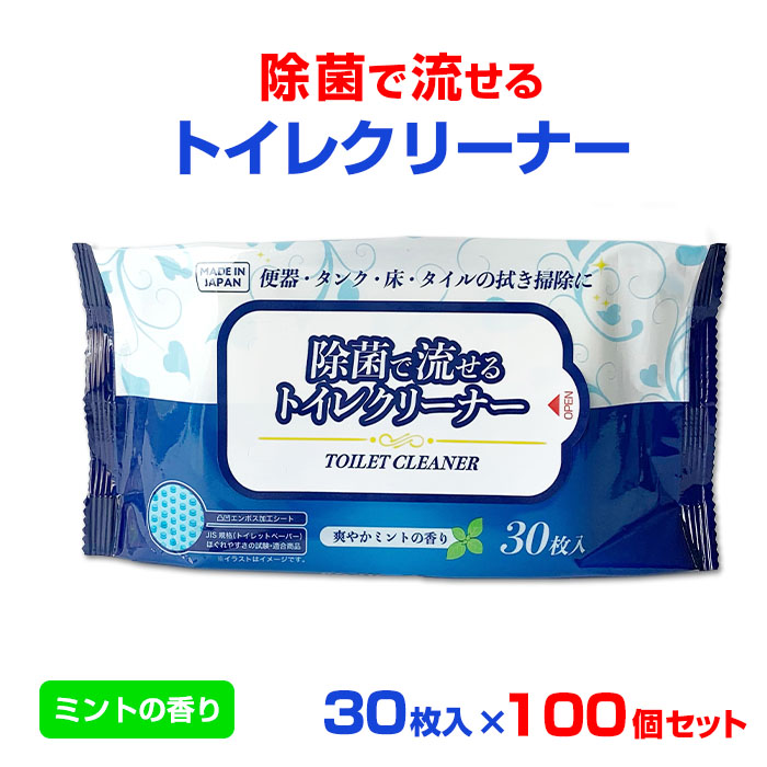 まとめ買い 流せるトイレクリーナー ミントの香り 30枚入 Somaticaeducar Com Br