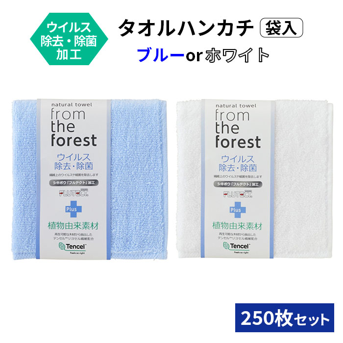 アンブレラスカイにおすすめ！色つや傘売りわたす中【アンブレラスカイを彩る傘】
