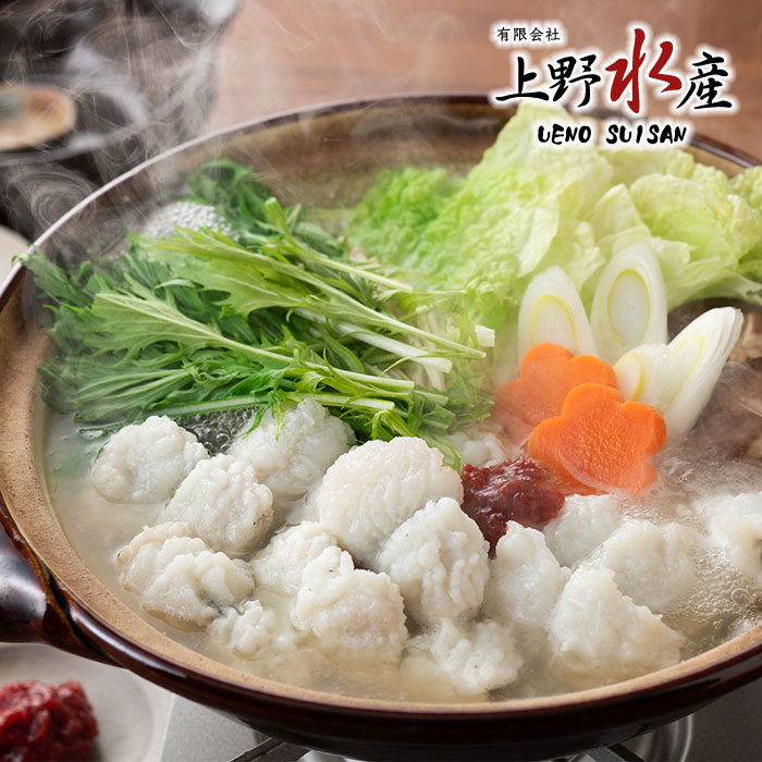 鱧のしゃぶしゃぶ鍋セット （2人前） 福岡県 豊前海 ぶぜんかい ハモ 送料無料 鍋セット 詰め合わせ 鱧切り身約300ｇ しゃぶしゃぶ お取り寄せ グルメ　2024冬ギフト